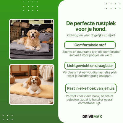 Dog seat cushion used in a car trunk and at home, showing dogs resting comfortably on the quilted mat.